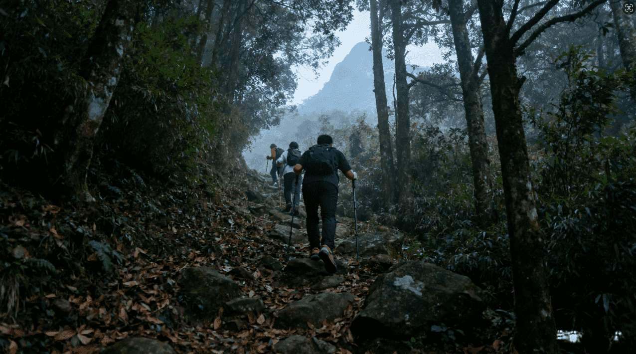 鲨鱼加速器免费VPN使用技巧全解